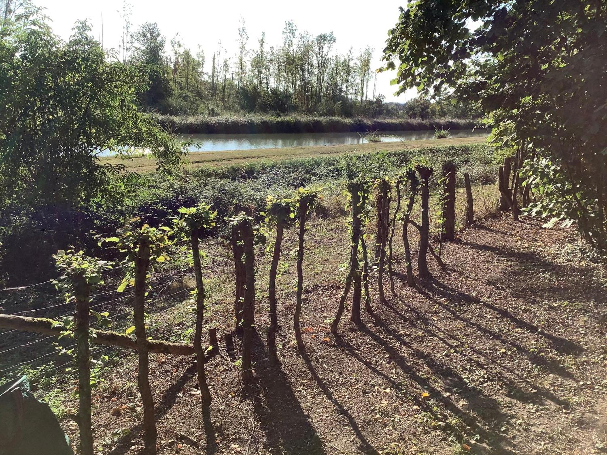 Autour Des Vignes B&B Herry Екстериор снимка